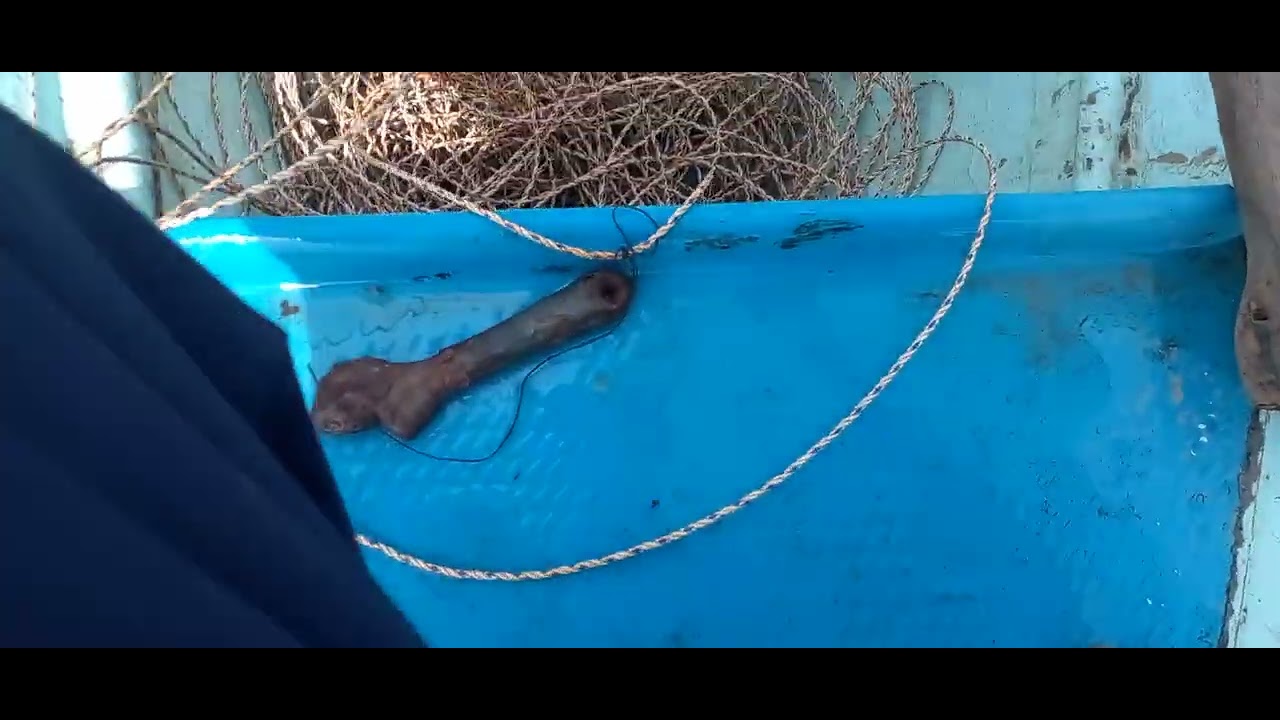 merawai ikan badukang part 1, sungai pimpin kualah labuk beluran - YouTube