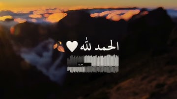 ما أجملها تلاوة هادئه ترقق القلوب | ثامر الزير