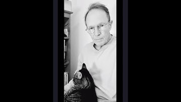 Bimodal communication with a strange cat and your cat