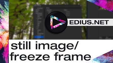 EDIUS.NET Podcast - still image/freeze frame
