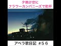 アベラ歌日記 #56「夕焼け空にフラワーカンパニーズで乾杯」