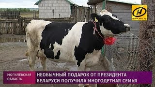 ⁣Необычный подарок от Президента Беларуси получила многодетная семья