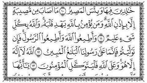سورة التغابن مكتوبة الشيخ سعد الغامدي #سورة_التغابن 