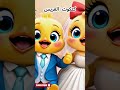 اغنيه كتكوت العريس اجمل اغاني اطفال بي اللغه العربيه الفسحه قناه كوتي كوتي