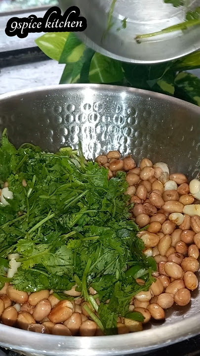 Perfect maharasrian thecha recipe || peanut thecha chutney recipe || jawari bazrai bhai chutney