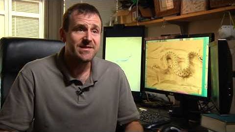 Robots learn from sidewinder snakes