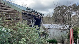 Bunkhouse Renovation - Phase 5 - Install the Rear Gutter and Inside Paneling