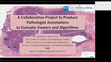 High-throughput Truthing Project Overview Webinar, 19 February 2020