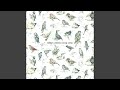 Edwyn Collins - Losing Sleep