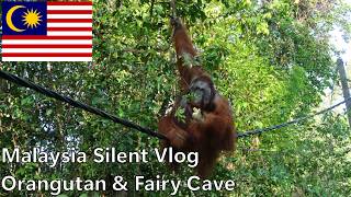 Malaysia 🇲🇾 Silent Vlogs - Orangutan & Fairy Cave
