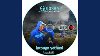 INTONGA YETHUSI