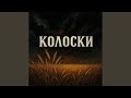 Колоски 