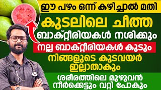 ഈ പഴം കഴിച്ചാൽ ചീത്തബാക്റ്റീരിയകൾ നശിക്കും മുഴുവൻ നീർക്കെട്ടും പോകും കുടവയർ ഇല്ലാതാകും|Ibs malayalam