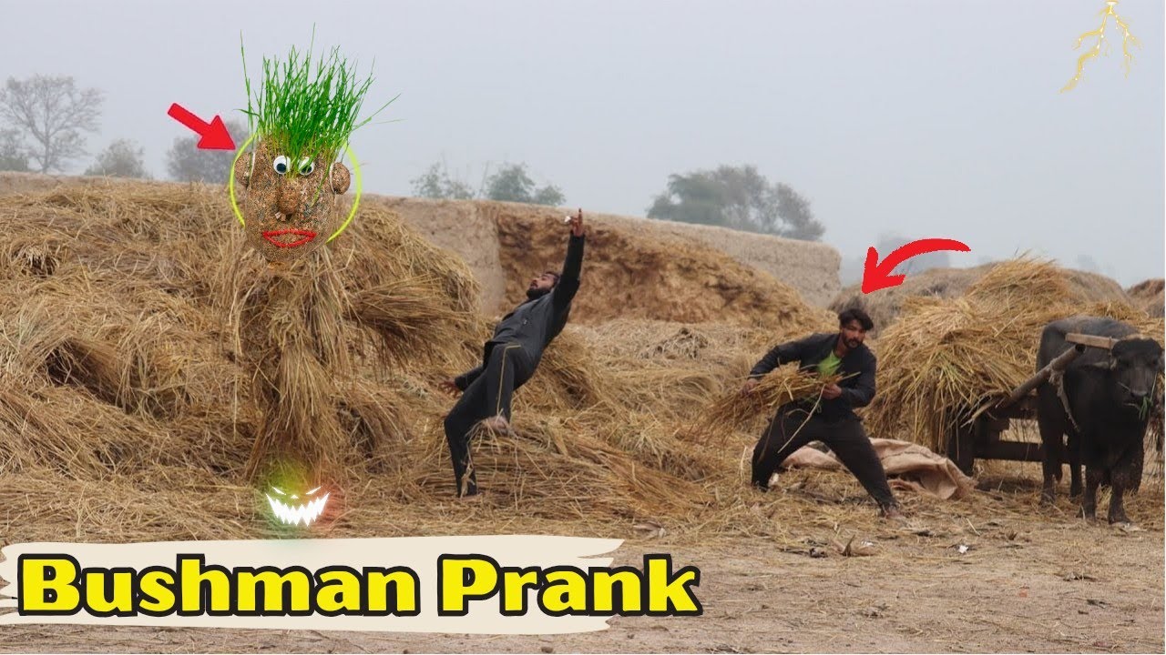Best Of Crazy Fails BUSHMAN Prank Rewind 2022 @PendoBrandTv😁