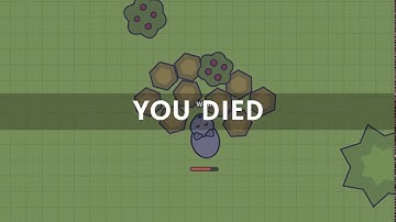 momo.io auto heal hack (miami 6)