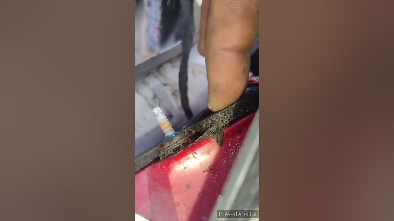 2016 Chevy Impala leaking water in trunk and draining battery - YouTube
