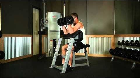 Biceps   Two Arm Dumbbell Preacher Curl   Exercises Guide!   Live Health Club