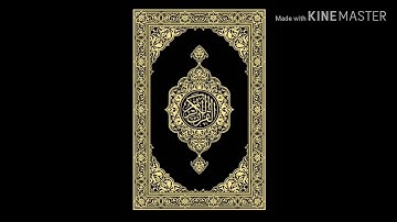 القارئ ياسر القزلان ( الرس )