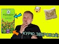 ЗАБИЛ ТРАВУ В СИГУ/ КУРЮ ЗВЕРОБОЙ!