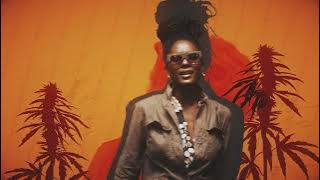 Yaadcore, Jah9 & Subatomic Sound System - Police In Helicopter