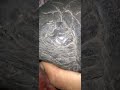 zet Black carbonado