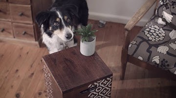 ADT Home Security - Extra Features