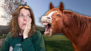 Your Horse May Not Actually Like You 😱