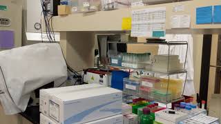 This is the Regenexx Research Lab