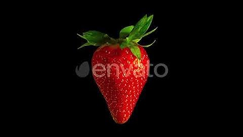 Rotating Strawberry, Isolated Fruit with Alpha Matte | Motion Graphics - Envato elements