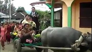 Mantap.. Pengantin dari Tanah Karo ini naik Mobil  KERBAU ke Gereja di hari pernikahan nya...