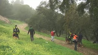 Buscando a Laura Luelmo