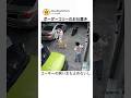 ウェルシュコーギーが調子乗りすぎてボーダーコリーにガチで怒られる