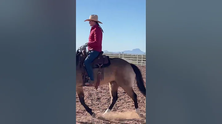 Captain- sound trotting