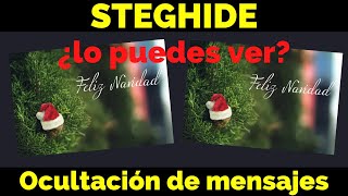 Mensajes ocultos en imágenes [steghide] - Adviento Hacker 13/24 screenshot 1