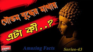 What Is This On Lord Buddhas Head..? Amazing Fact Series-43 Atnamus