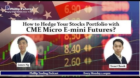 How to Hedge Your Stocks Portfolio with CME Micro E-mini Futures?