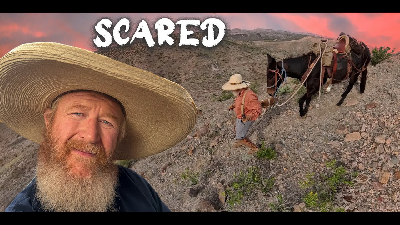 Я отправился в какую-то суровую страну. Это РЕАЛЬНО или ИИ?