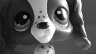 LPS MV: LA Devotee {P!ATD}