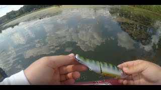 2 and half pound bass DESTROY'S megabass islide
