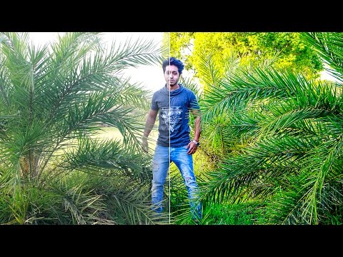 Photoshop Tutorial | Photo Retouching HD Effect | Photo Color Correction in Photoshop