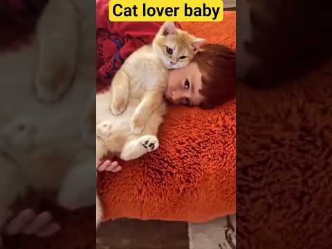 cat lover boy🤗🤗🤗 #viral by Aqsa khan 