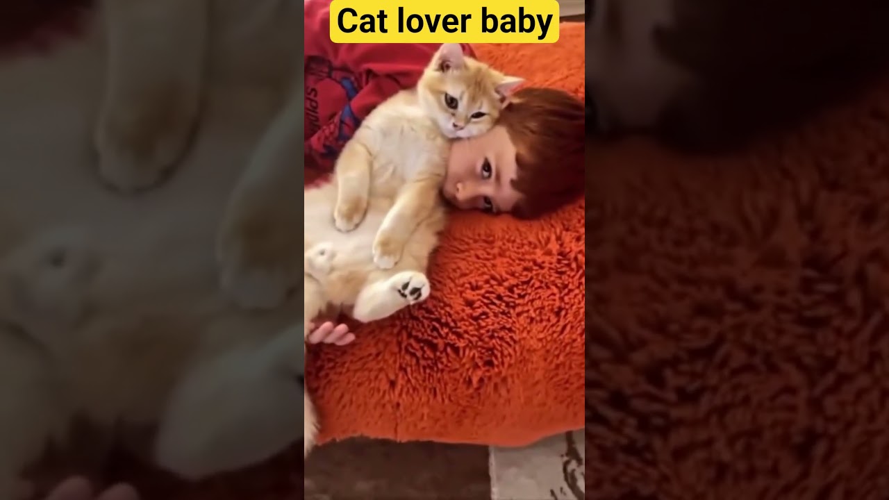 cat lover boy🤗🤗🤗 #viral by Aqsa khan 