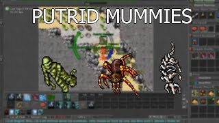 Mages | Putrid Mummy | Tibia