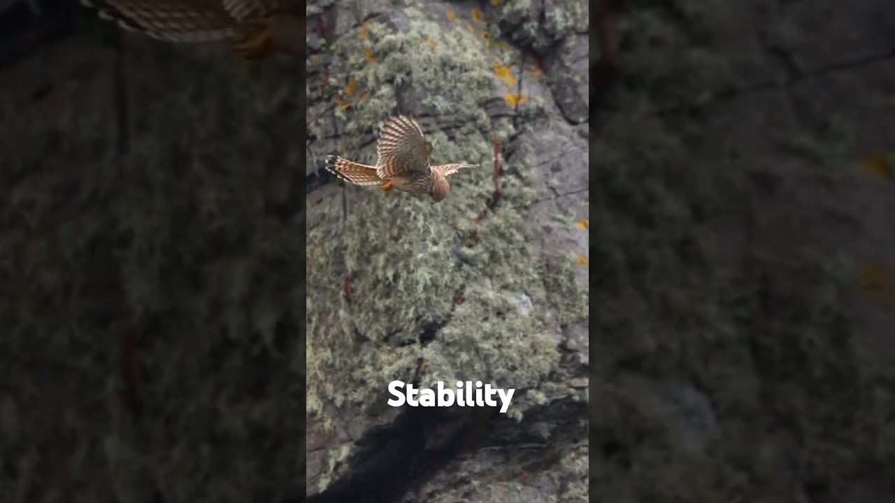 Have you ever observed the stability like this.