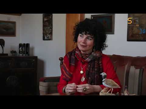 სხვა მხარე | ნანა შონია | ანონსი