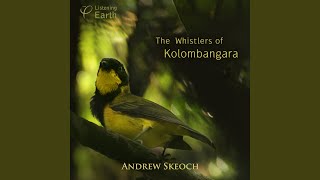 Dawn: The Oriole Whistler Sings! screenshot 5