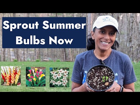Guide to Summer