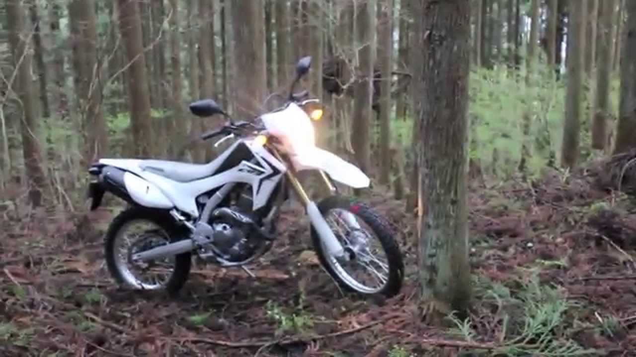 Crf250lカスタマイズ