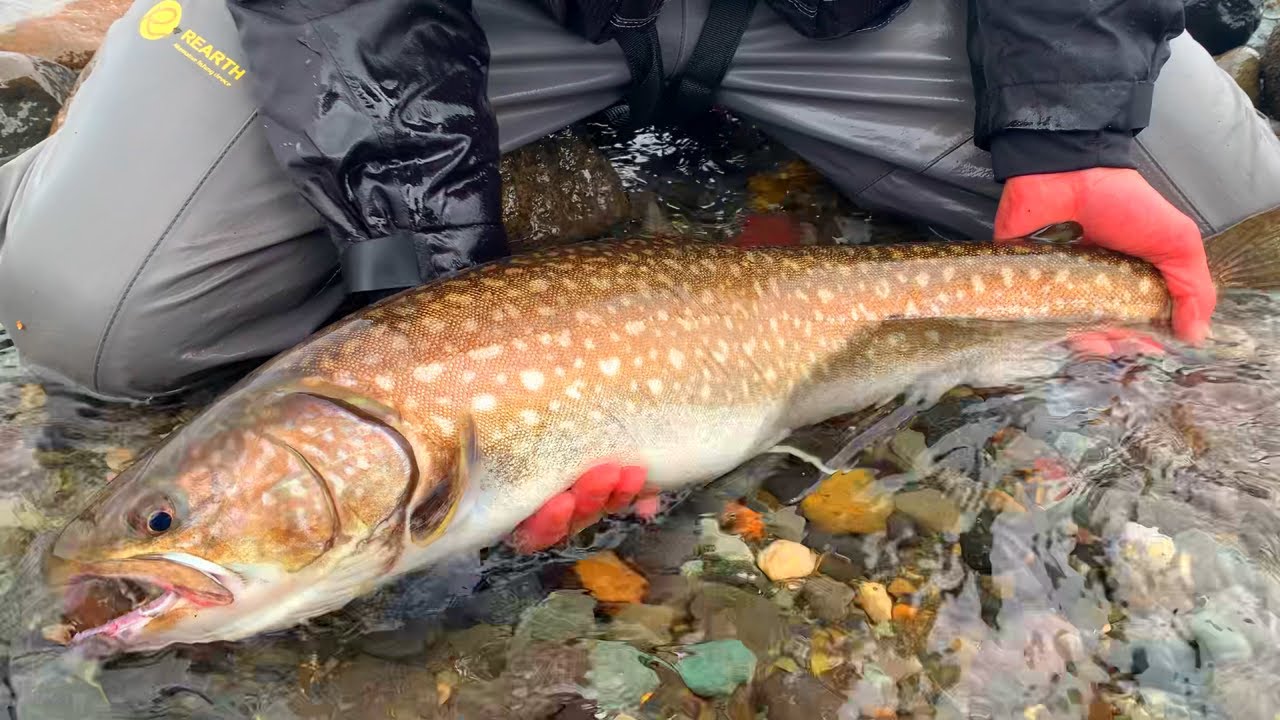 無限にチェイス。魚雷バットみたいなデカ海アメマスで釣り場騒然…