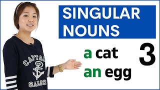 Learn Singular Nouns a / an   noun | Basic English Grammar Course